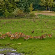 The Exquisite Surroundings