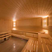 Sauna-Based Detoxification