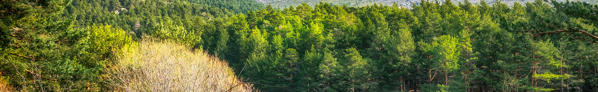 Narconon Los Molinos